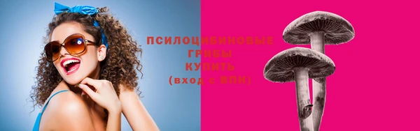 не бодяженный Аркадак