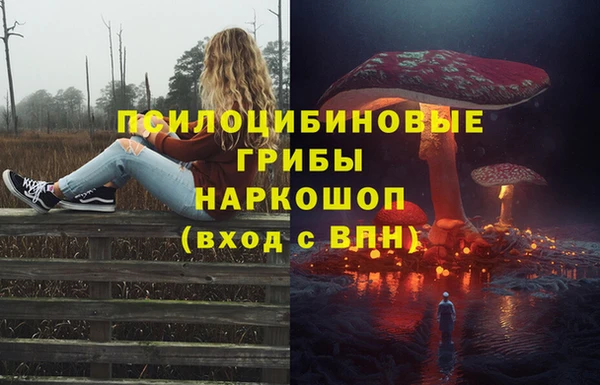 не бодяженный Аркадак
