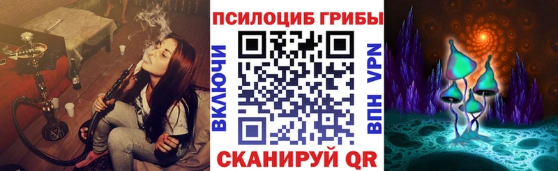где купить наркоту  Верхняя Салда  Галлюциногенные грибы Cubensis 